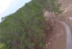 Hyperlite Flowride 5″, Florida Drone Racing Park