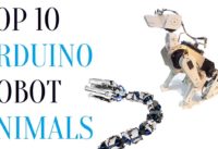 Top 10 Arduino Robot Animals