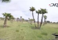 Season 3 Sneak Peek | UFO FPV DRL Pilots Freestyle Palm Tree Farm Outside Las Vegas