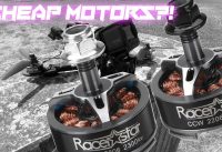 THESE CHEAP MOTORS ARE ACTUALLY GOOD ( Racerstar SPROG 2206 Review )