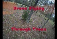 RC Drone Flying Through Trees – Ep18 + Crash