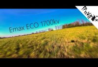 6 inch Freestyle – Emax ECO 1700kv with 4s battery and Gemfan 6042 tri blade