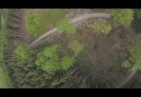 FPV in the forest YET AGAIN pure MOTOR sound Brotherhobby Speedshield 2207.5