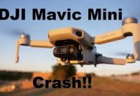 DJI Mavic Mini Drone CrashFail