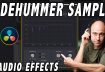 DeHummer Audio Effect Sample in DaVinci Resolve 17 | Audio Effects Series