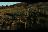Sunset Cows FPV Drone 🛸 ☀️🐮 Martinez FARM 👨🏻‍🌾